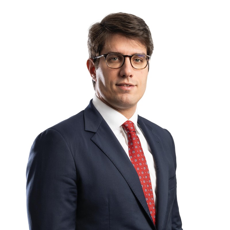 Pedro Ludovico Teixeira